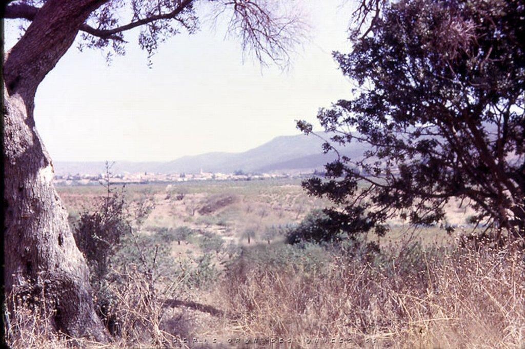 BOU SFER EL ANCOR.JPG